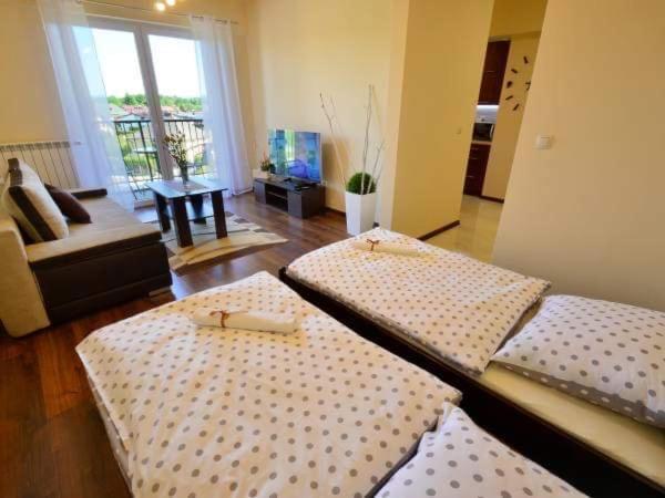 Apartament Antonio Lägenhet Zator Exteriör bild